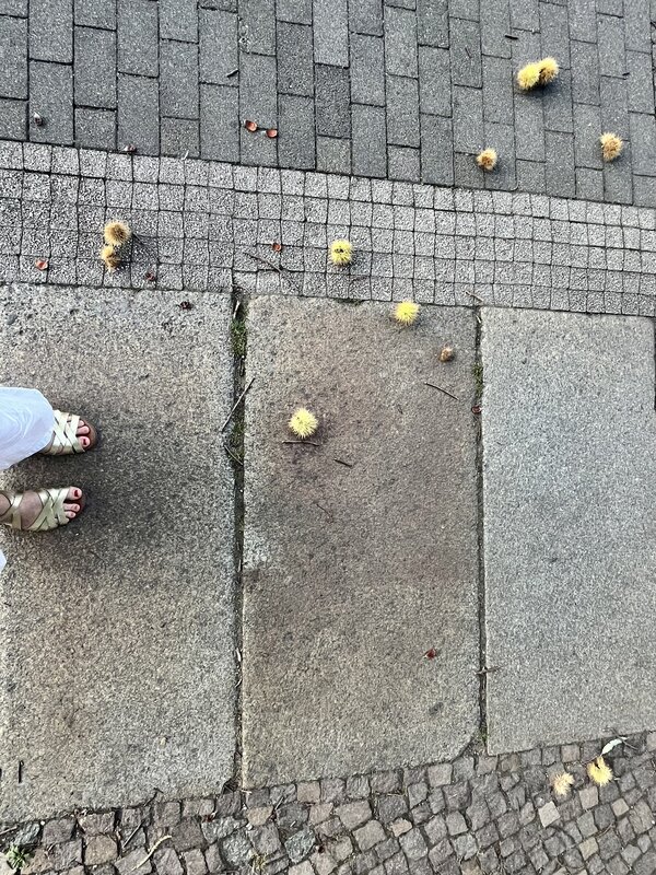 Im Herbst hat Leipzig ein fast südliches Pflaster, oft…