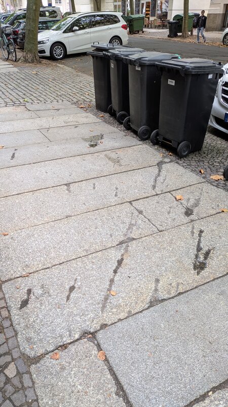 Hier ist eine für Leipzig typische Splitterrose aus dem…