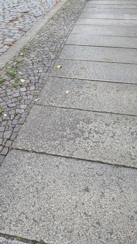 Die Fundstelle in Leipzig zieht sich über einige Meter…